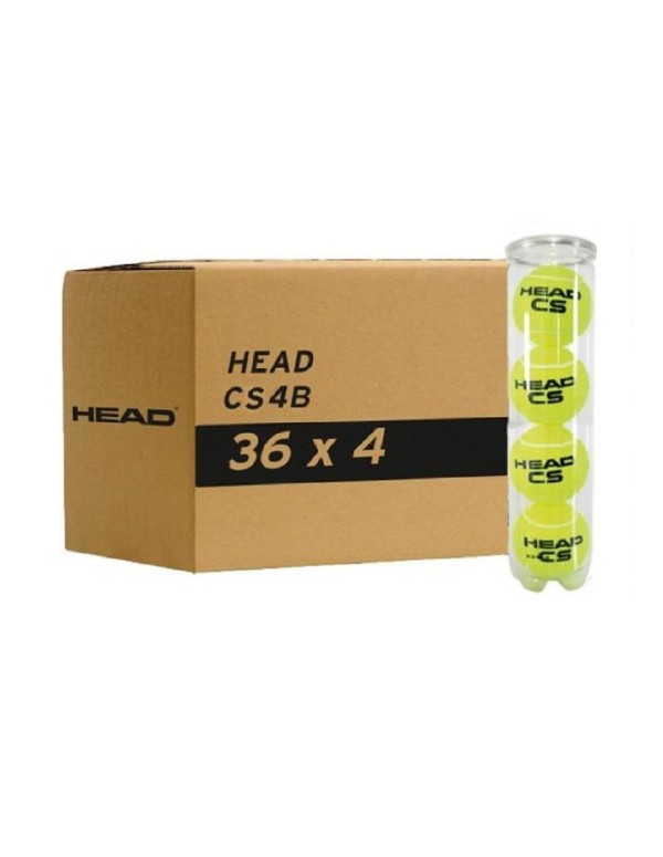 Box of 36 Head CS 4-Ball Canisters |HEAD |Padel balls