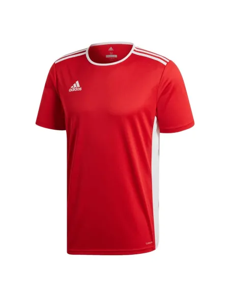 Camiseta Adidas Cd8438 |ADIDAS |Roupa de Padel ADIDAS