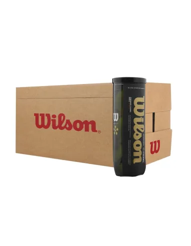 Box of 24 Wilson Premier Padel Speed Balls |WILSON |Paddle accessories