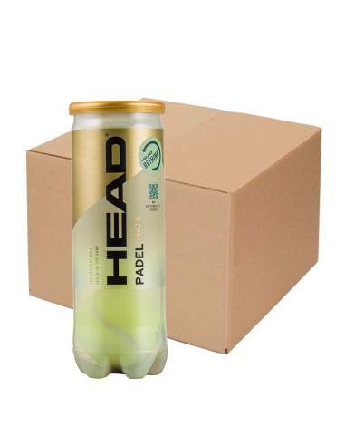 Head Padel Pro S Ball Box |HEAD |Padel balls